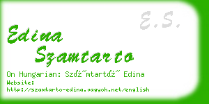 edina szamtarto business card